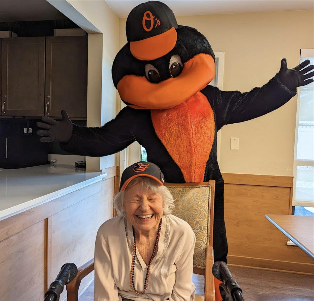 Member Support & Business Solutions